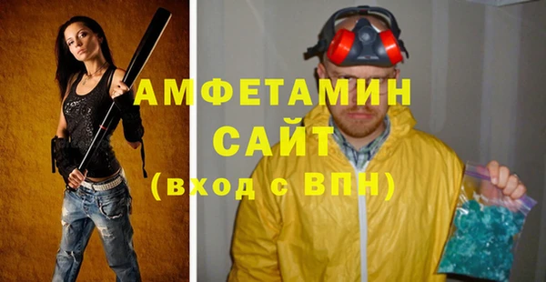СК Алексин