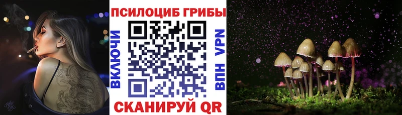 kraken купить Фёдоровский Галлюциногенные грибы Cubensis